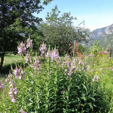 Loft Aosta Valley Jaktstuga